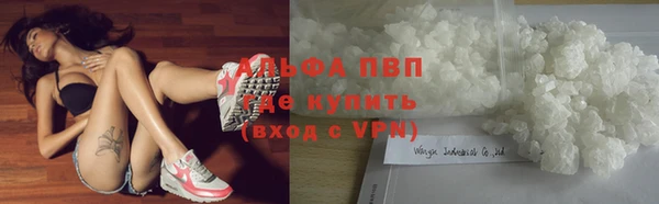 спиды Баксан