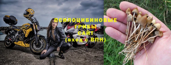 МДПВ Ивантеевка
