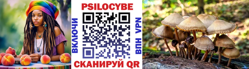Галлюциногенные грибы прущие грибы  Барабинск 